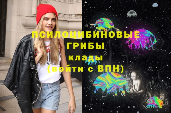 винт Арсеньев