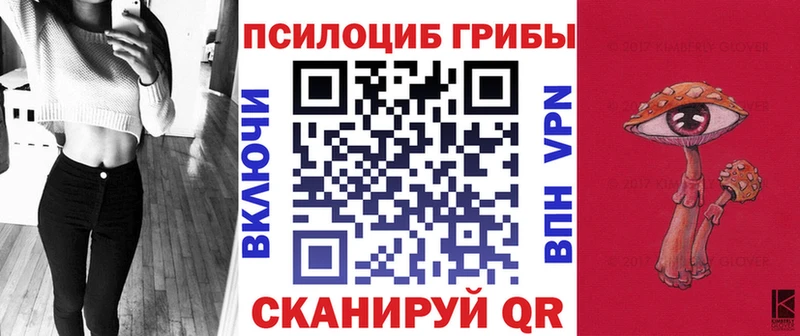 Псилоцибиновые грибы мицелий Кемь