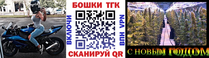 сколько стоит  Кемь  Конопля THC 21% 